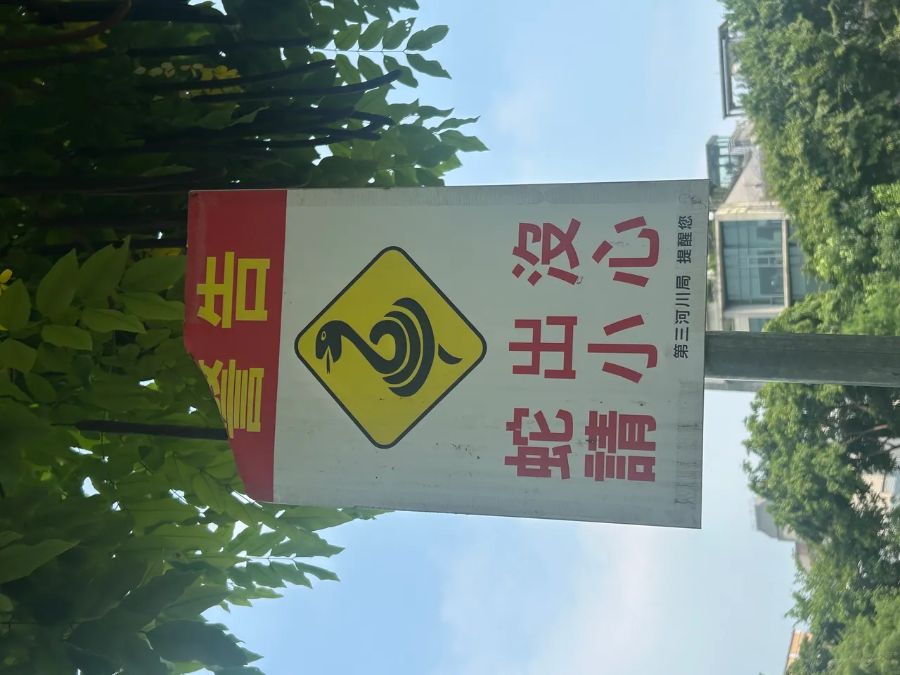 大里区康桥设有小心蛇出没的告示。李天生提供