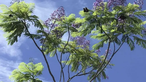 立秋轉運迎財!鼠雞商務洽談有喜 這生肖全方位進帳
