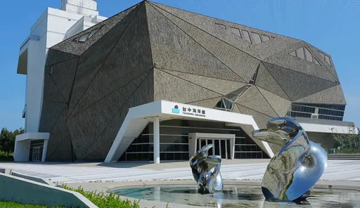 台中海洋館今開幕!首創開放式企鵝區 憑票米其林飯店有優惠