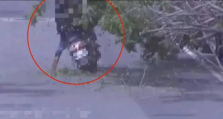 機車騎士發現路樹倒塌已經來不及閃躲，只好硬闖。翻攝畫面