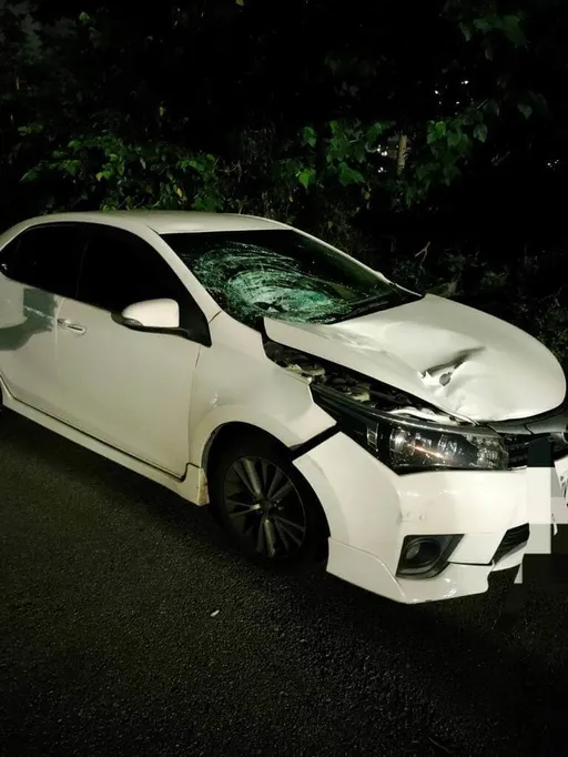 台中女子穿越馬路遭車撞 頭部四肢重創身亡