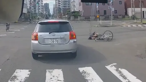 高中单车妹闯红灯被轿车击落 一起小车祸却引发日网友热议