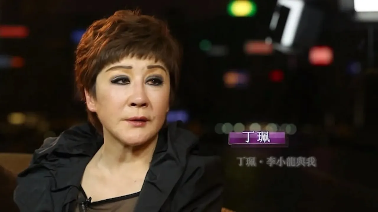向华强前妻丁佩(又名丁珮)。翻摄微博