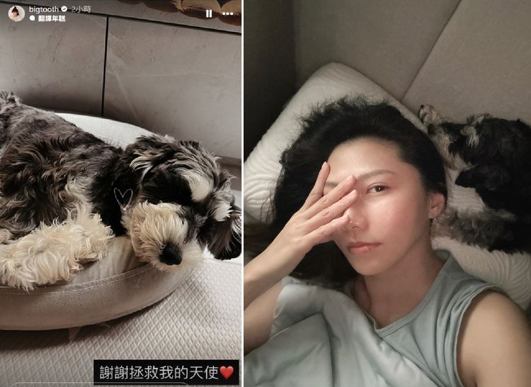 大牙斬斷5年婚　深夜吐心聲！認了感情「1事」最難察覺