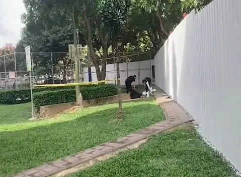 買賣帳戶起糾紛!男遭正妹誘至公園談判慘被圍毆致死 主嫌判囚11年半