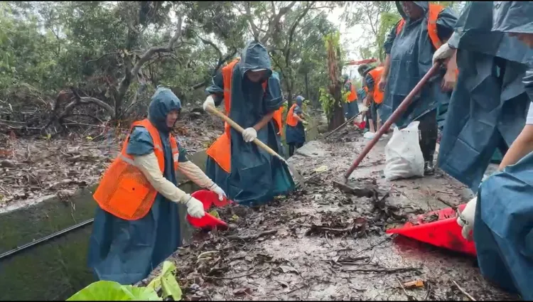 災後26天民進黨黨工組志工團，到台南救災，冒雨清理阻塞水溝、路樹。讀者提供