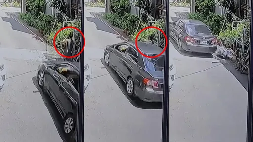 影片评评理!汽车追撞行人 驾驶反批「走路摆动手臂」酿成车祸