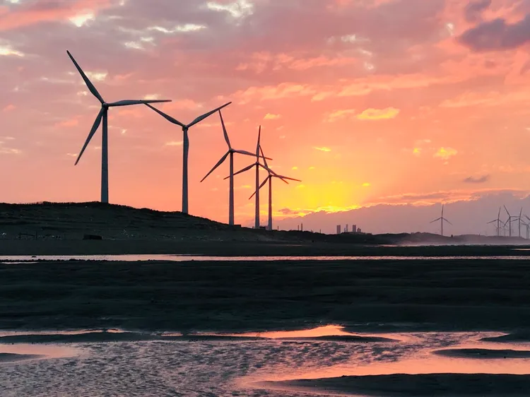 許厝港濕地。觀旅局提供