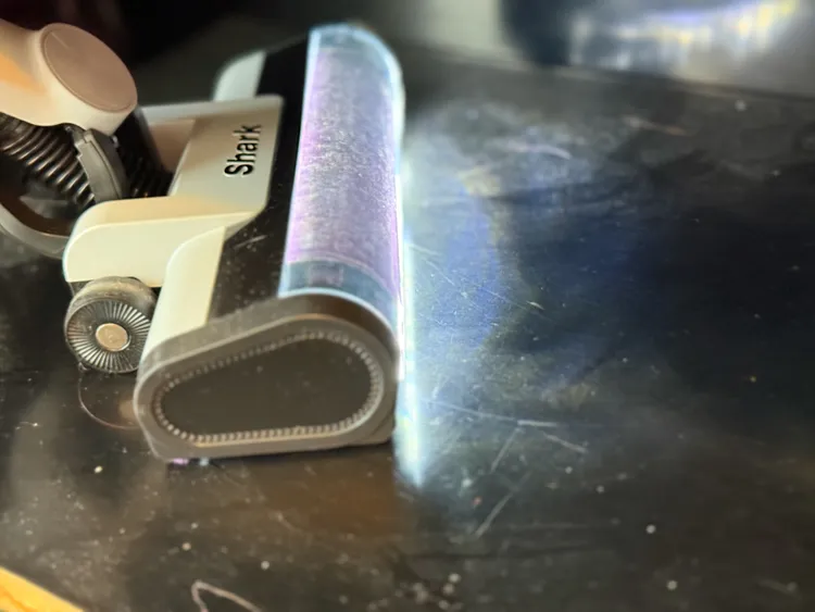 Neo+吸頭長度較一般的短。趙筱文攝