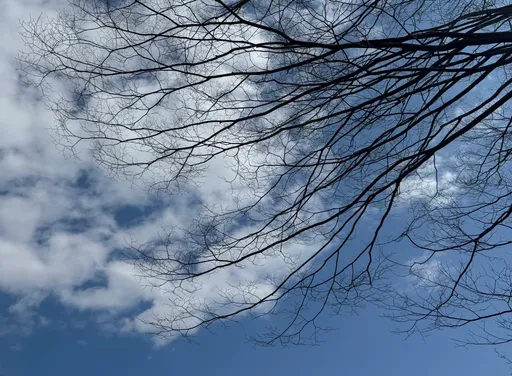 白露易獲貴人扶持 3生肖財源滾滾