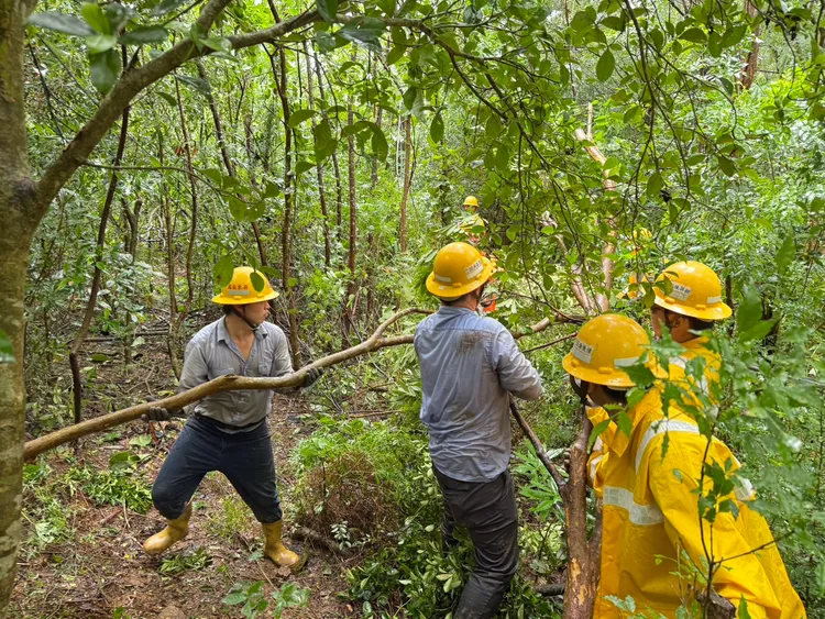 獅子鄉道路泥濘不堪行進困難，台電員工徒步到場，排除倒塌的樹枝後搶修。翻攝畫面