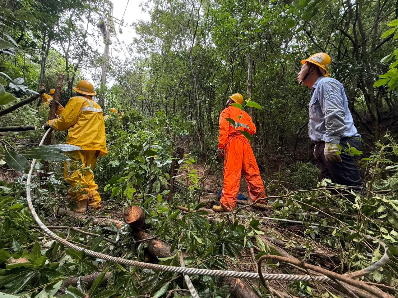 狮子乡道路泥泞不堪行进困难,台电员工徒步到场,排除倒塌的树枝后抢修。翻摄画面