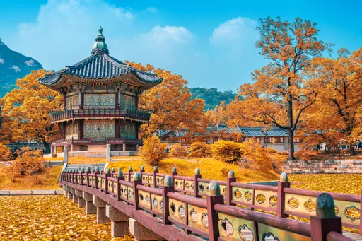 秋分健康警報響!4生肖最要小心 專家公開養生祕笈