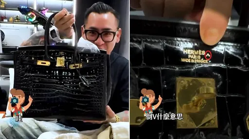 愛馬仕鱷魚皮柏金包上的「神祕倒V」符號!蹦闆入手天價稀有包