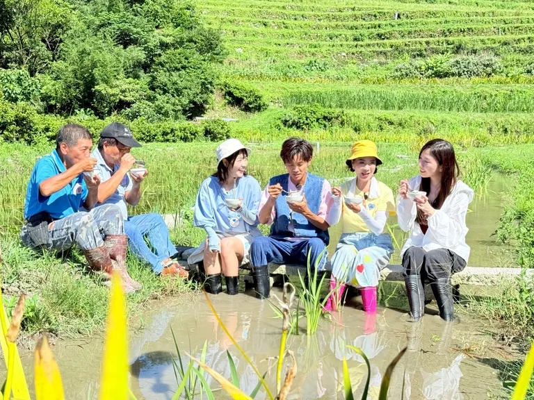 艺人们体验采收稻米,在田边吃自己亲手做的米苔目。民视提供