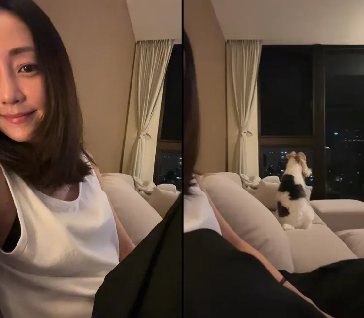 謝欣穎同時間在曬狗兒子。翻攝謝欣穎IG