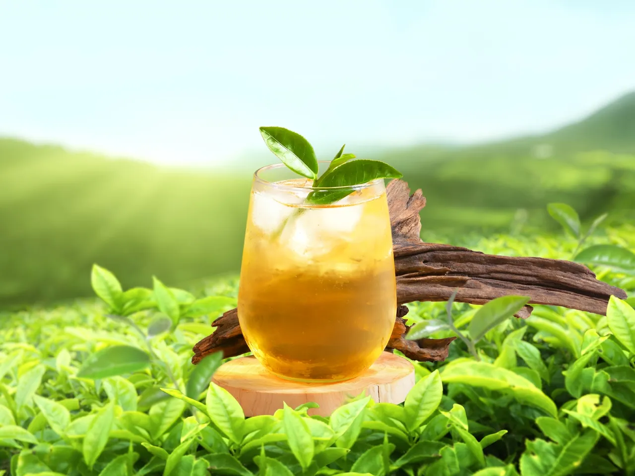 期间每周三于日出茶太任选2杯大杯无糖纯茶即送1杯玉露春芽。六角国际提供