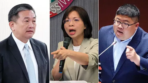 綠群組訊息外流 他:王定宇冷血不意外「她清流人設炸成碎片」