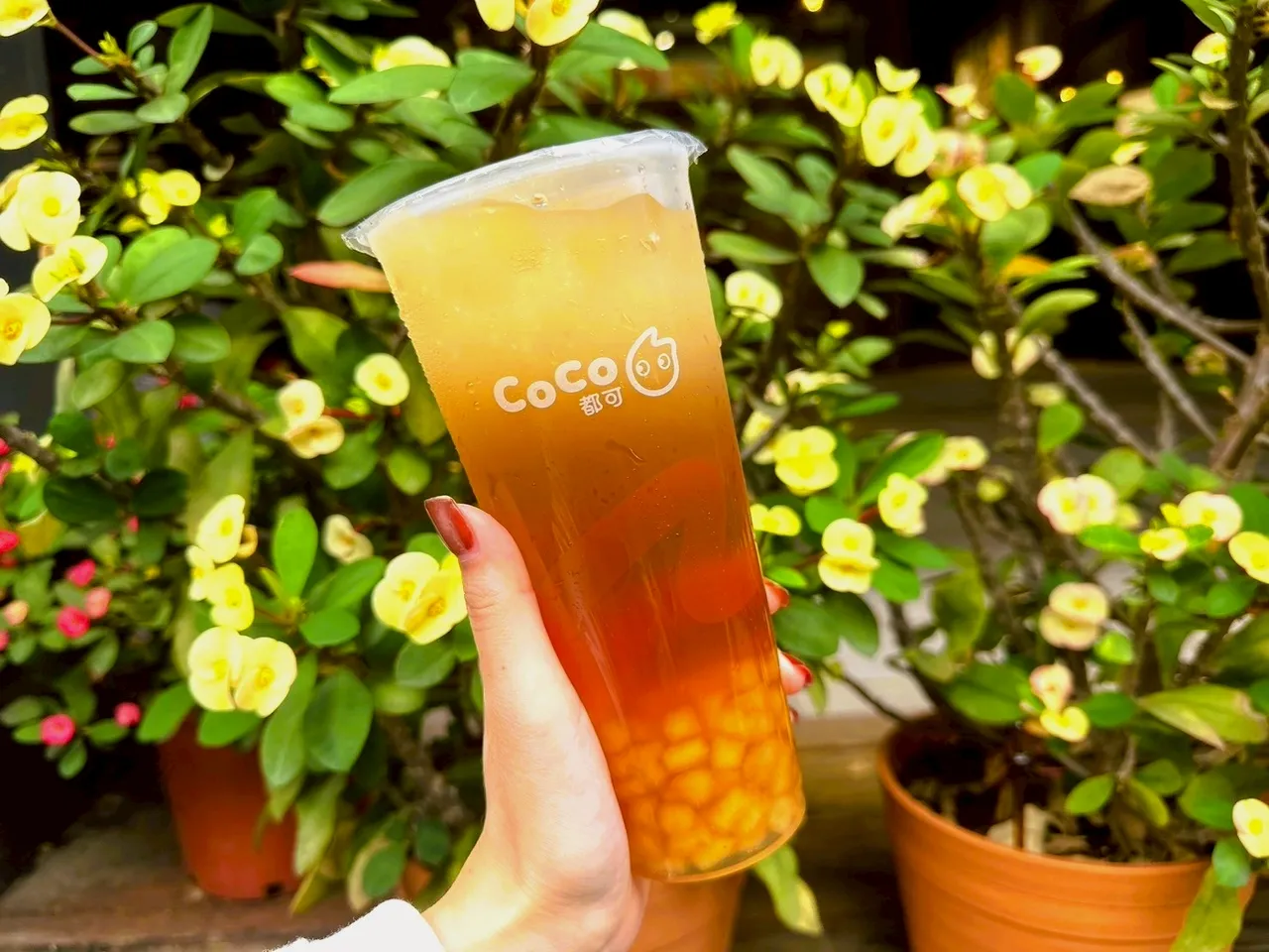 Coco都可统计今年1月至今10大排行榜,第4名为粉角柠檬冬瓜。Coco都可提供