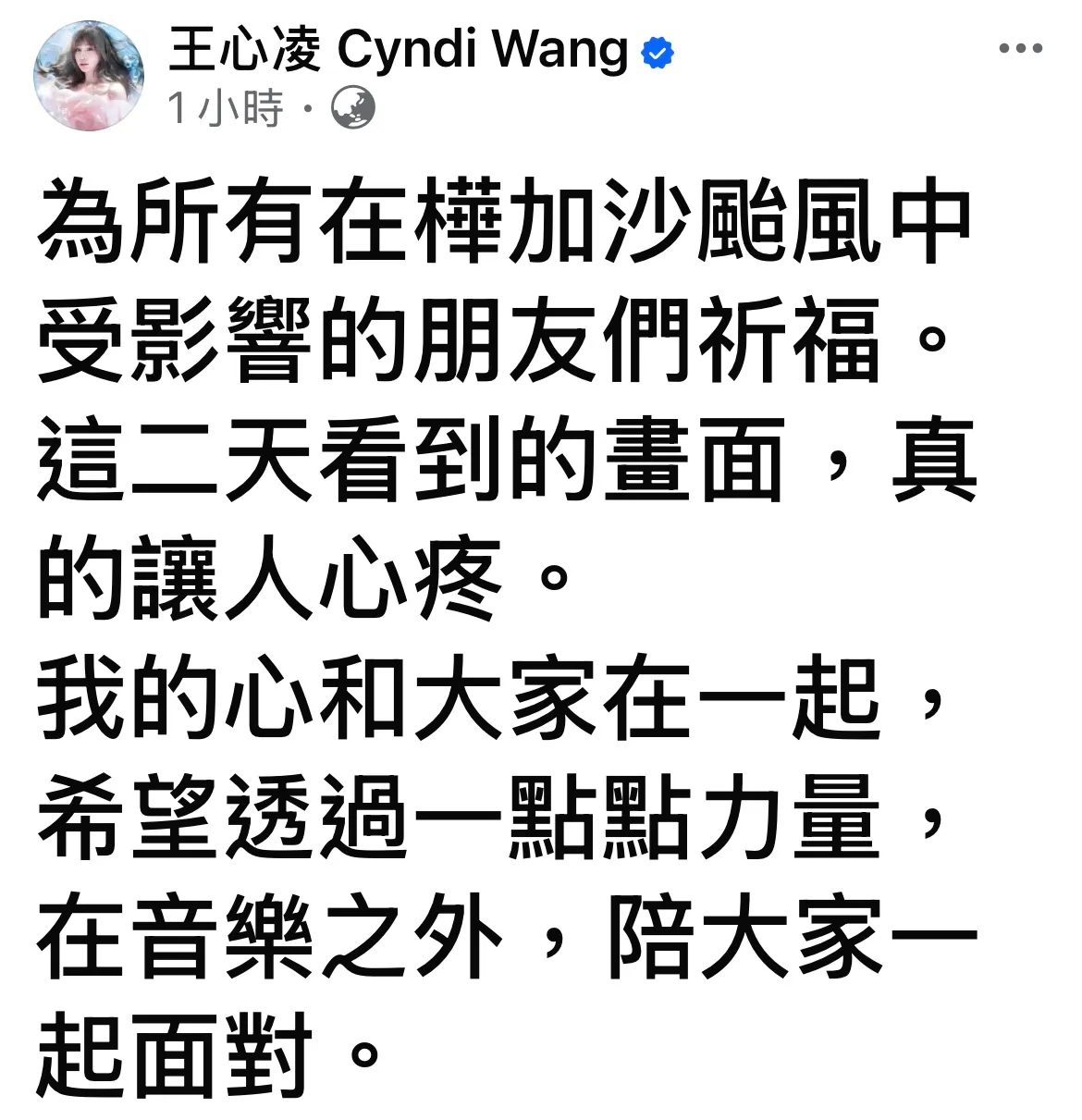王心凌于社群发文,为受灾朋友祈福。翻摄脸书