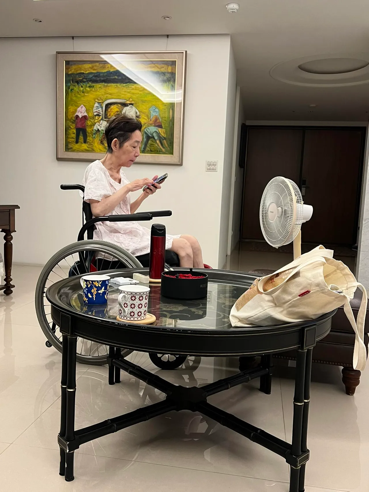陈致中曝光母亲近况。翻摄自陈致中脸书