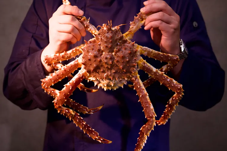 北海道活帝王蟹肉質厚實肥美，秋冬進補首選。二本松涮涮屋提供