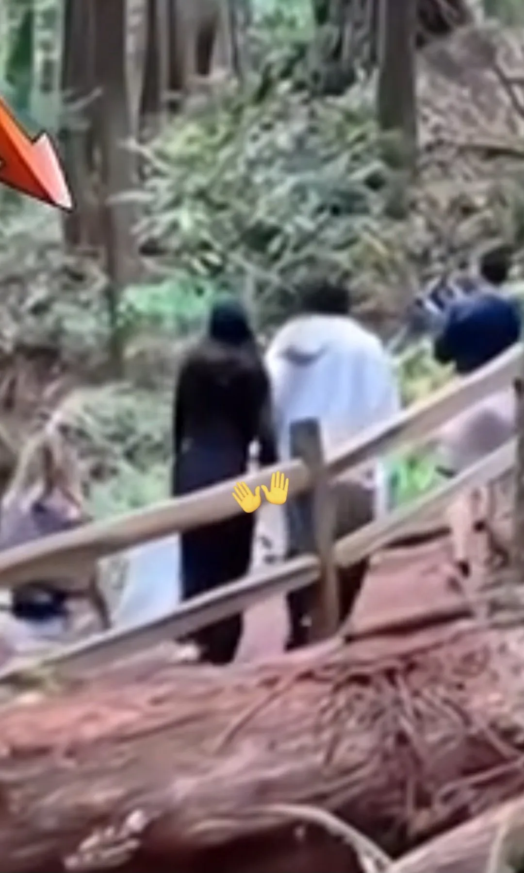 Jennie被目擊跟Nicholas Hiraga在加拿大溫哥華玩,手牽手爬山。翻攝TikTok