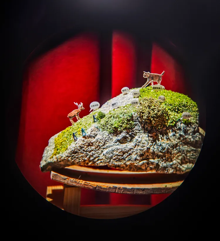 徐景亭《暗光屋瓦》。田欣雲攝影