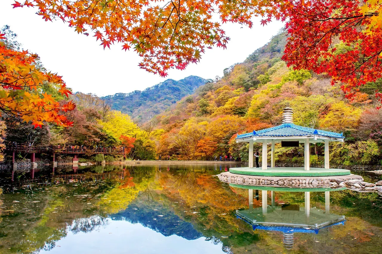 賞楓勝地內藏山國立公園,品味銀杏與紅葉交織的氛圍。業者提供