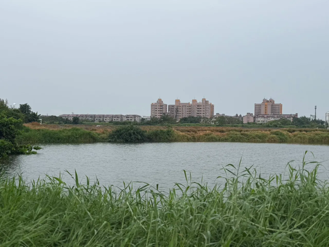 养殖户与业者合作,要设置渔电共生光电场,经相关单位核可,却遭到居民抗争。庄曜聪摄