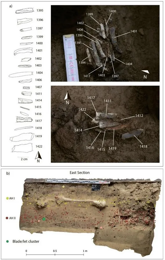 考古學者一一標示各種工具以及可能用途。雜誌
