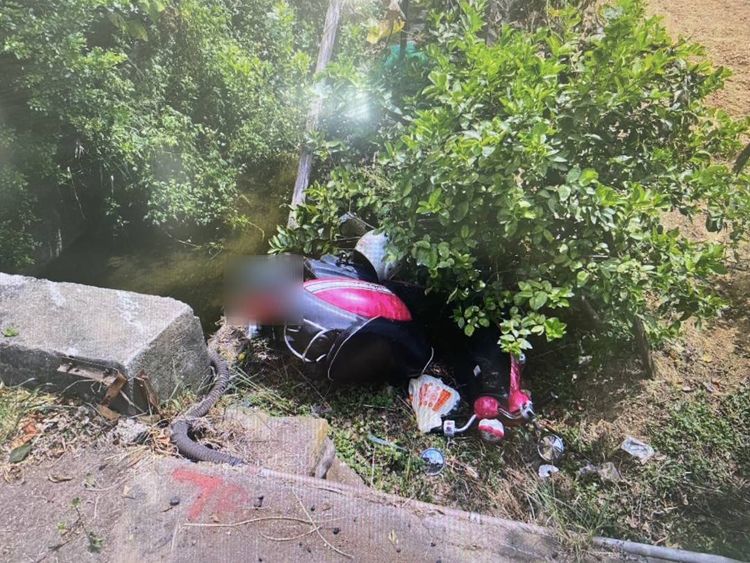 疑道路坑洞釀禍！　機車偏離車道摔落邊坡樹叢釀2傷