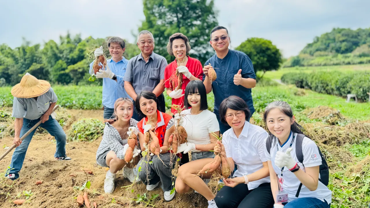 萬里雙興地瓜推廣,萬里區長黃雱勉(前左二)一起和大家體驗下田挖地瓜。公所提供