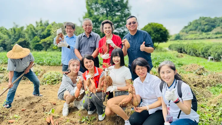 萬里雙興地瓜推廣，萬里區長黃雱勉（前左二）一起和大家體驗下田挖地瓜。公所提供