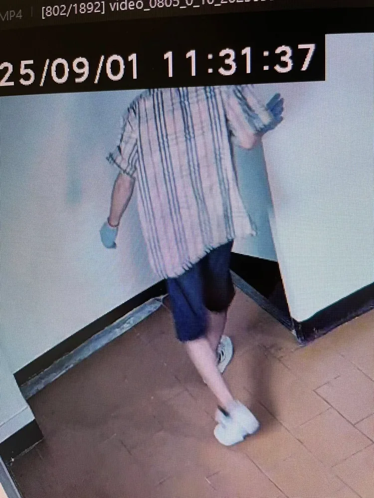 小偷穿著方格子襯衫、黑色短褲、白色布鞋。翻攝畫面