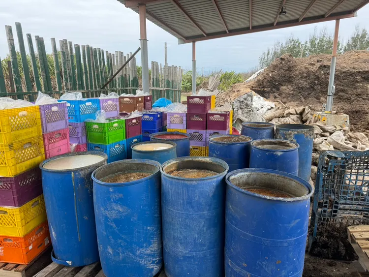 現場各式廢棄物與廚餘令人作嘔。保七總隊提供