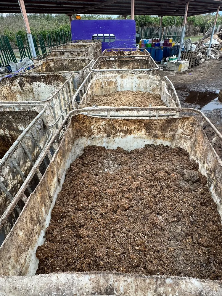 現場清除車輛載運之蟲糞與廚餘殘渣。環保局提供