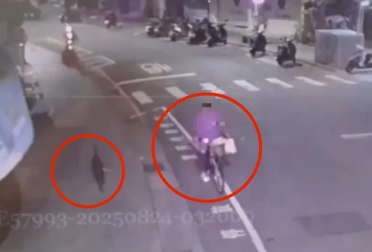 胡男牽著黑狗走過淡水老街被拍下，之後帶往北市濱江路公園吊起虐打，再殘忍拋屍基隆河。翻攝畫面