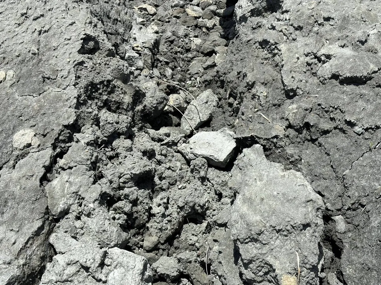 環保局表示,未經許可提供土地堆置廢棄物,除依違反廢清法第36條規定。環保局提供