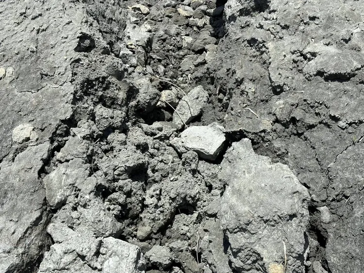 環保局表示，未經許可提供土地堆置廢棄物，除依違反廢清法第36條規定。環保局提供