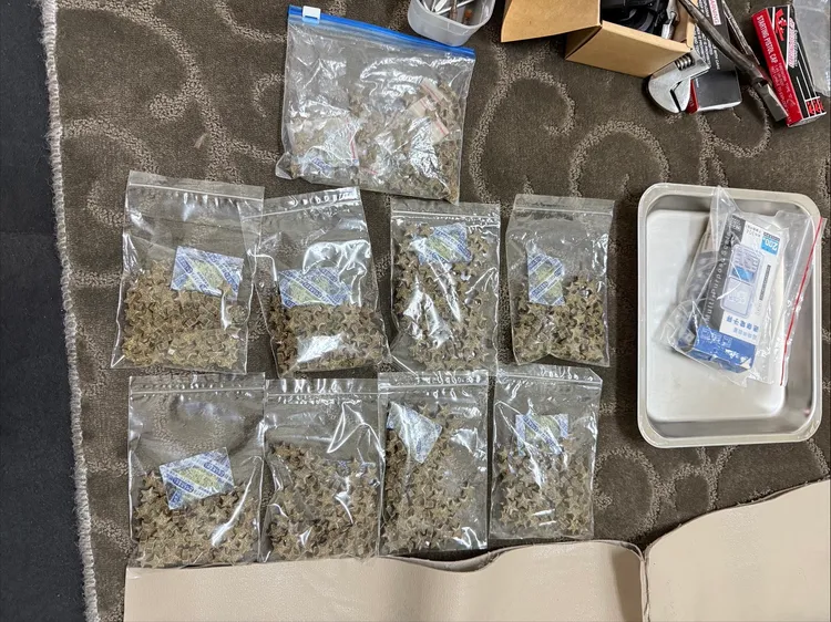 警方將溯源追查毒品來源，避免流入市面戕害青少年身心。翻攝照片