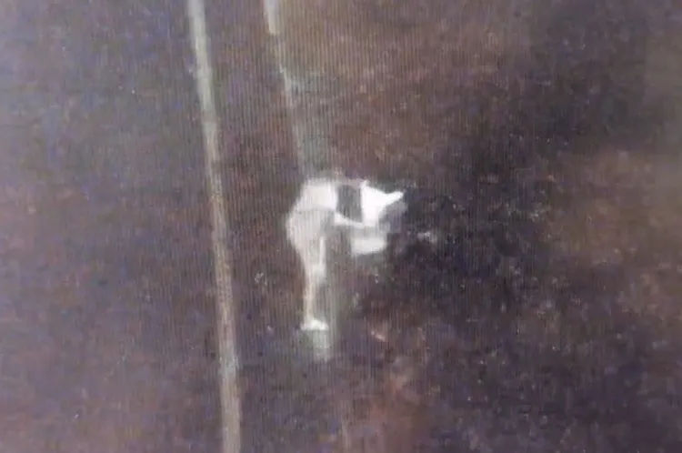 疑似肇事駕駛跳下邊坡落跑。翻攝畫面