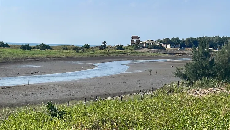 許厝港濕地。張沛森攝