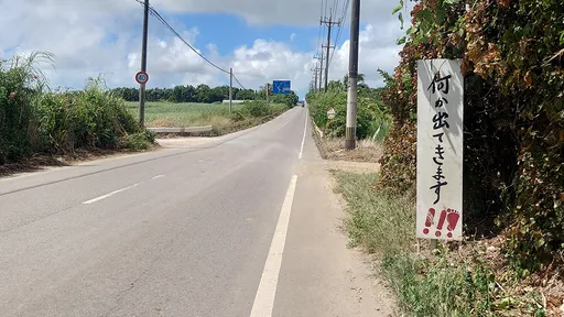沖繩路上神秘警示牌 「有東西會跑出來」但不告訴你是什麼
