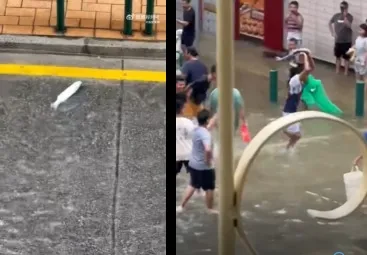 海水倒灌!樺加沙擦邊澳門 居民馬路上捕條大魚笑哈哈