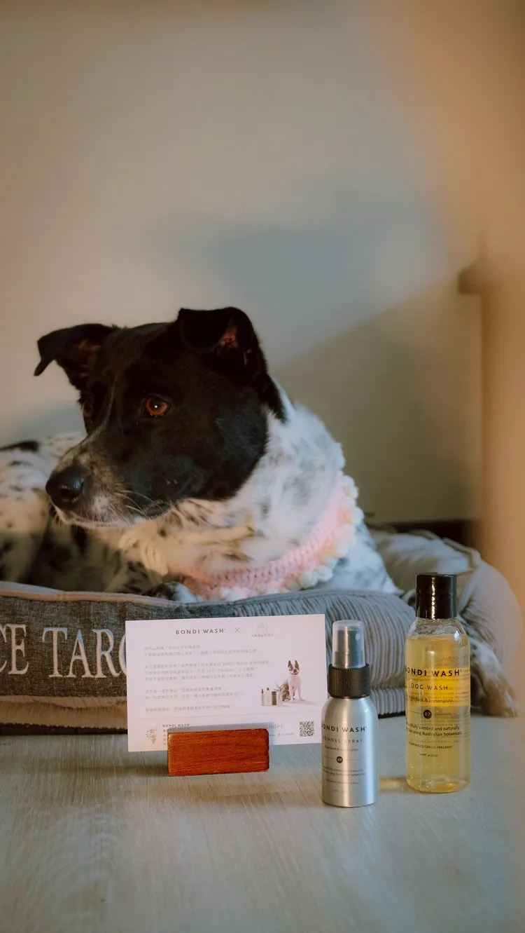 太魯閣晶英酒店攜手BONDI WASH，提供白千層、檸檬草、迷迭香與薰衣草揉合的寵物呵護組。溫和成分，適合毛孩敏感的肌膚。太魯閣晶英酒店提供
