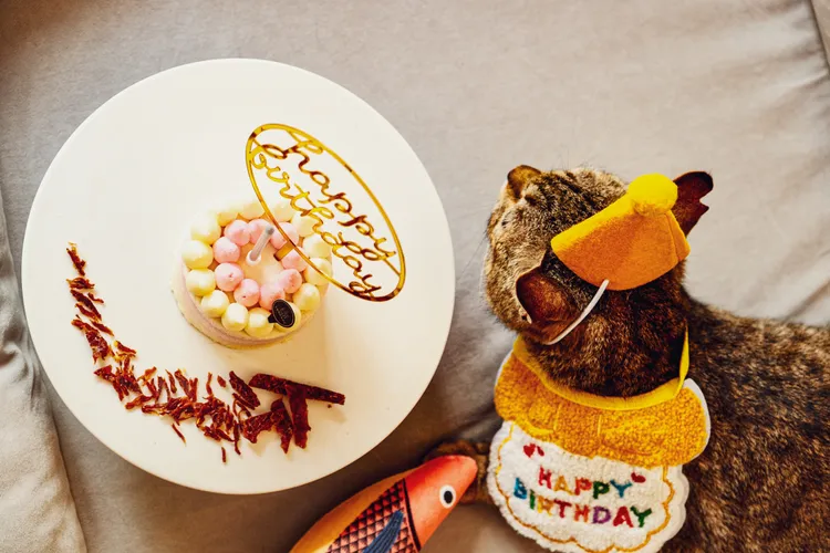 太魯閣晶英酒店「與喵汪趣旅行」住房專案2萬1000元起，另可加價3600元慶生套組。含3吋特製生日蛋糕與布置氣球。太魯閣晶英酒店提供