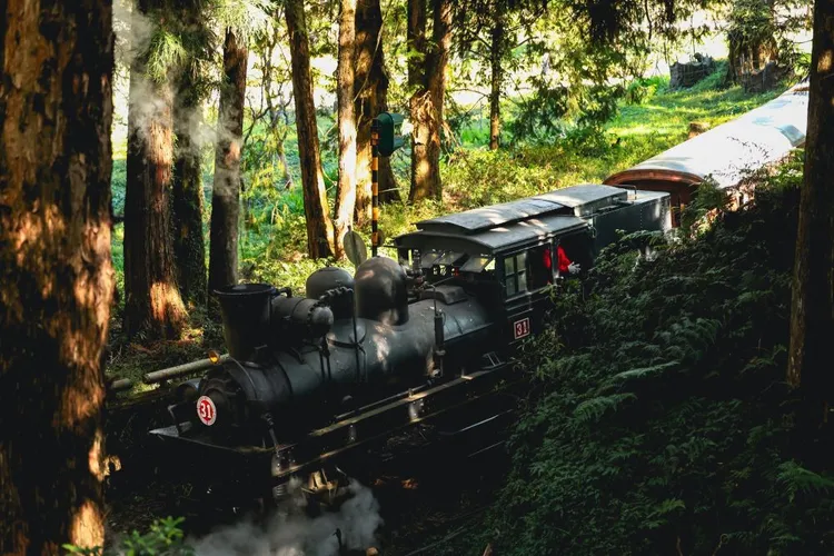 阿里山森林遊樂區沼平車站蒸汽火車。阿里山賓館提供