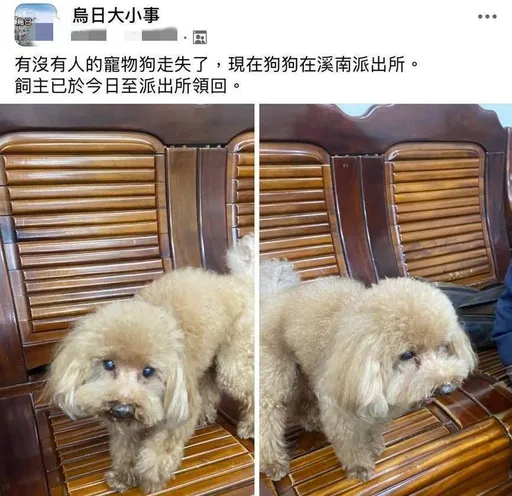 红贵宾迷航自行走进警局求助 警招待罐头大餐助寻主人