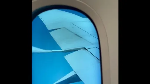 日本全日空波音787客機「緊急狀態」 疑空中放油影片曝